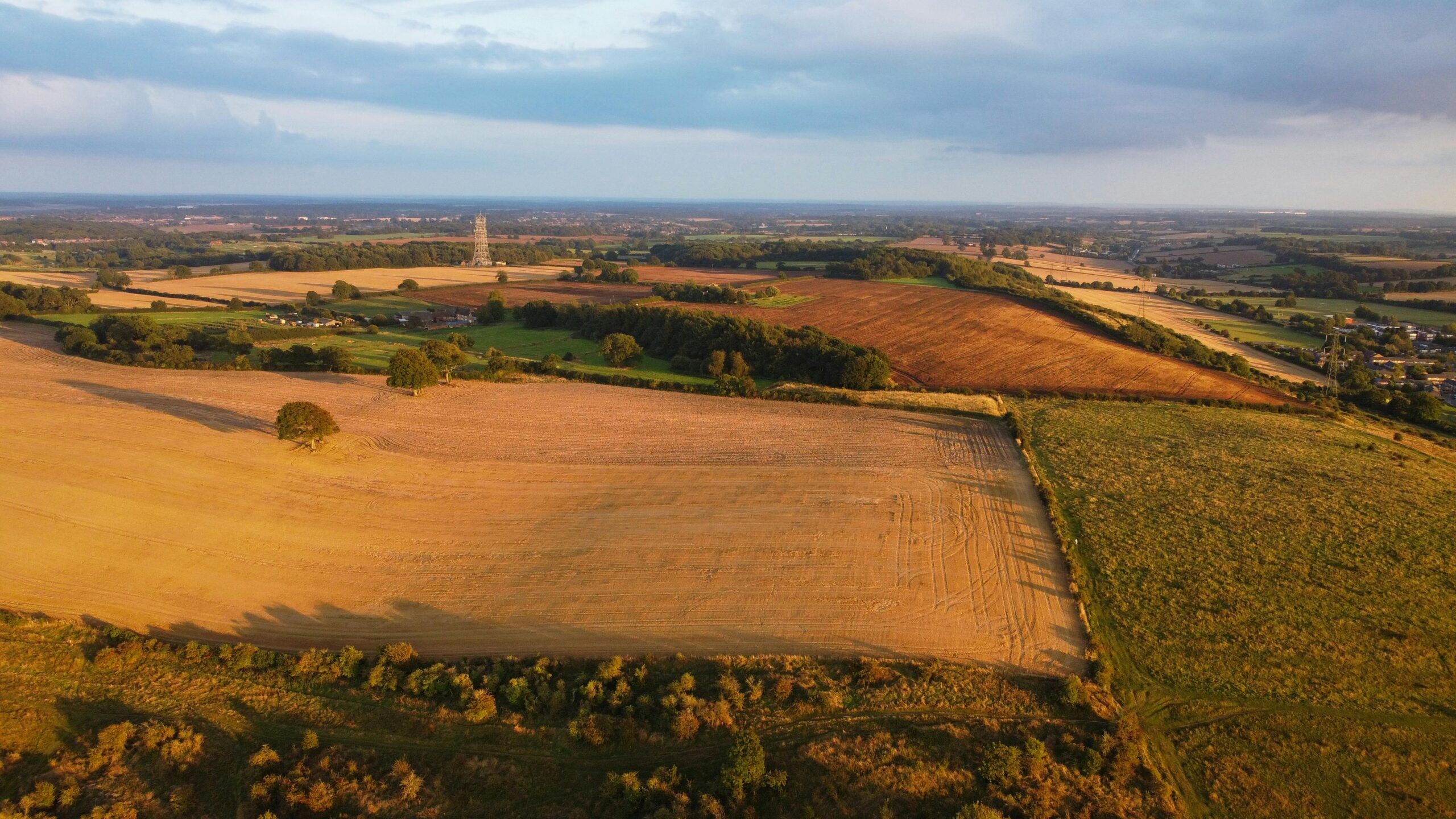 Land for Sale in Tyrone